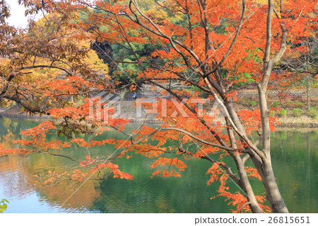 A pond colored leaves in Mitsuboo park 26815651