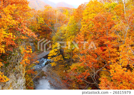 From Jozankei Rainbow Bridge 02 26815979