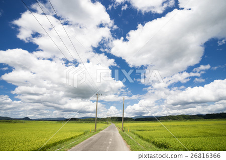 Road and sky in the field 26816366