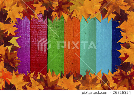 maple leaves and multicolored background 26816534