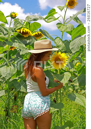A girl smiling with a sunflower smiling 26816727
