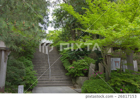 Shrine Shrine Shrine 26817153