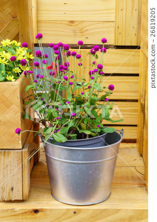Flower pots in vase on wooden background. Flower pots in vase on wooden background. 26819205