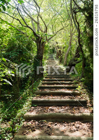 Stairs in the forest 26819798