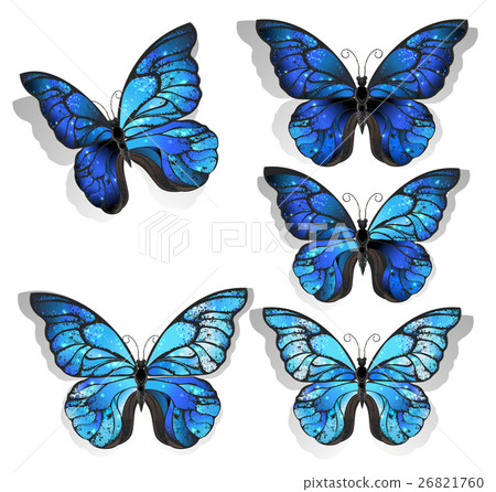 Set blue butterflies morpho 26821760