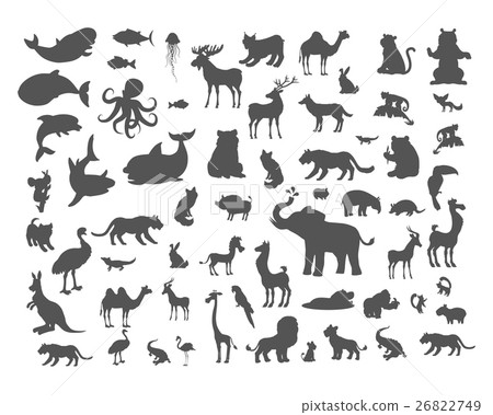 Mammals Birds Fish Reptiles Amphibias Bats Set. Mammals Birds Fish Reptiles Amphibias Bats Set. 26822749