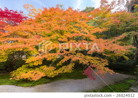 Tengui-an在秋天 26824012