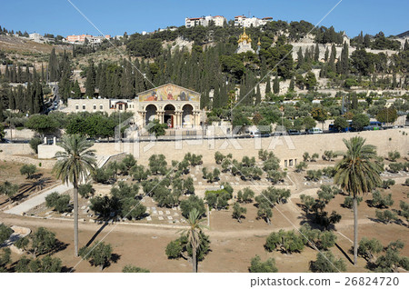 Kidron Valley and the Mount of Olives in Israel 26824720