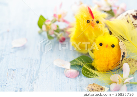 Small chicks in nest. Small chicks in nest. 26825756