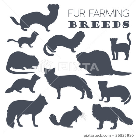 Fur farming. Flat design 26825950