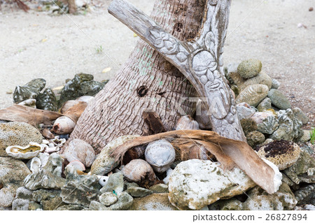 新喀裡多尼亞Ile Des Pins 26827894