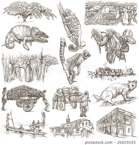 Madagascar - Pictures of life. Travel collection. 26829193