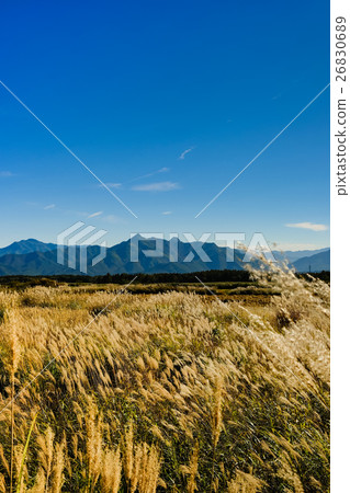 Susuki field (6) 26830689