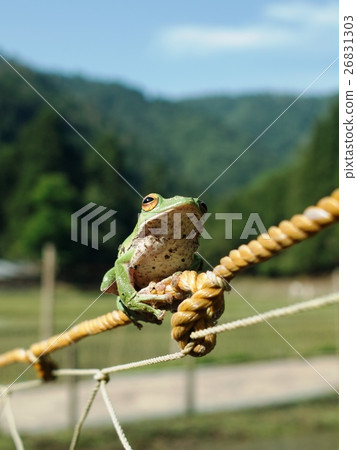Scenery of mountain village with Moria gull Scenery of mountain village with Moria gull 26831303