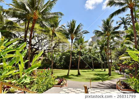 Holidays in Hawaii 26831799