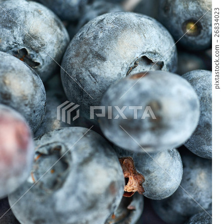 Bilberry or blueberry as texture background Bilberry or blueberry as texture background 26834023