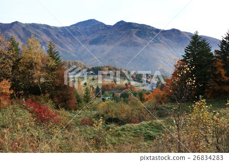 山田牧場在深秋 26834283