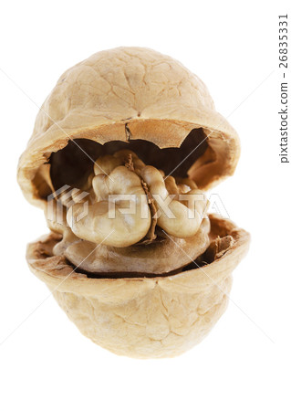 isolated on white walnuts 26835331