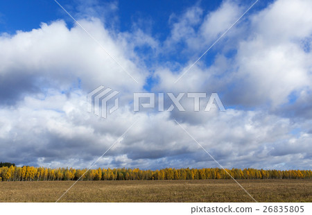 Nature in autumn season 26835805