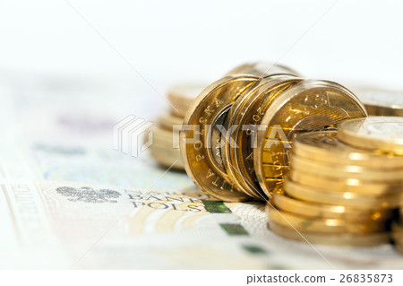 Polish Zloty closeup Polish Zloty closeup 26835873
