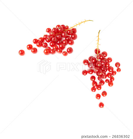 Set of Red Currant isolated over white background Set of Red Currant isolated over white background 26836302