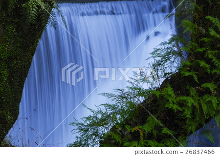 Nagatakyo Nagatakyo 26837466