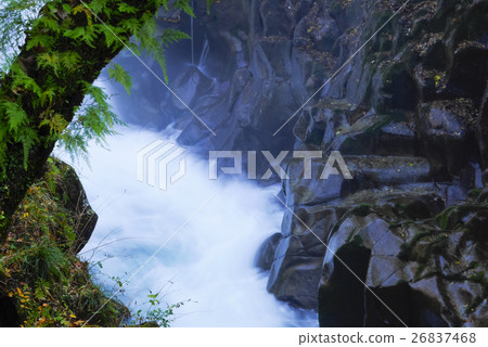 三峽永田 三峽永田 26837468