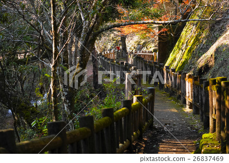 三峽永田 三峽永田 26837469