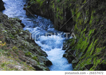 三峽永田 三峽永田 26837472