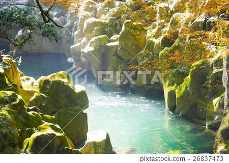 三峽永田 三峽永田 26837473