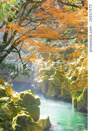 三峽永田 26837475