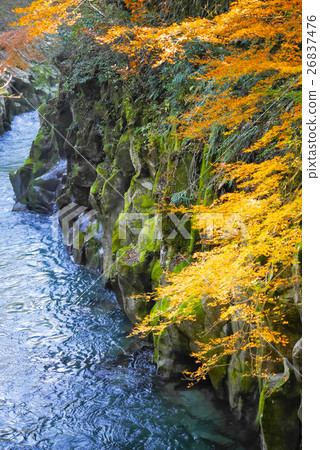 Nagatakyo Nagatakyo 26837476