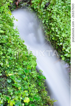 山的春天 山的春天 26837693