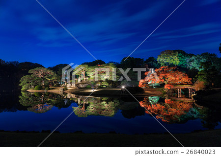 秋葉在東京Rokugien點亮 26840023