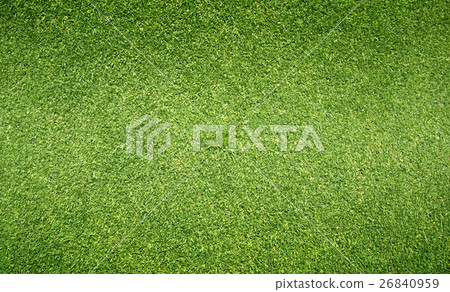 grass background Golf Courses green lawn 26840959