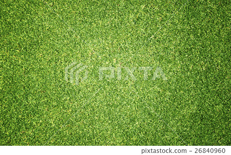 grass background Golf Courses green lawn 26840960