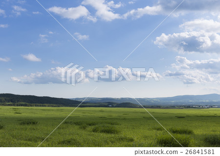 Meadow area under Hokkaido Ozorai Meadow area under Hokkaido Ozorai 26841581