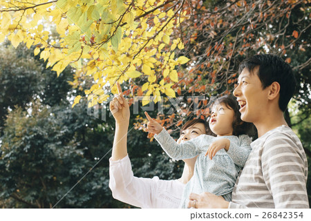 家庭人，日本人，20多歲，30多歲，家庭，家庭，女性，兒童，可愛，可愛，可愛，令人耳目一新 26842354