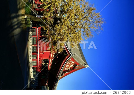 淺草寺在秋天 淺草寺在秋天 26842963