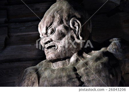 图库照片: 金刚国王的雕像