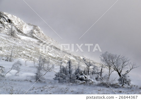 雪山 雪山 26844367