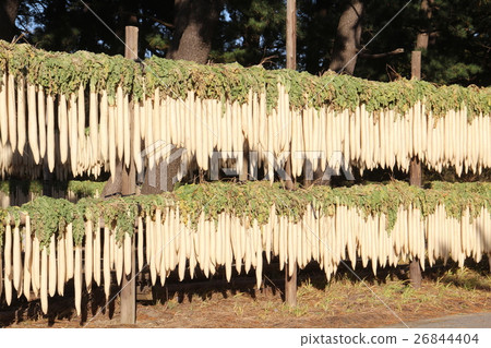 Dried radish 26844404