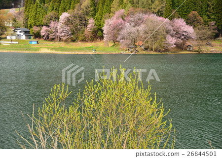 Spring of Lake Nakatsuni Spring of Lake Nakatsuni 26844501