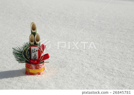 雪松樹 26845781