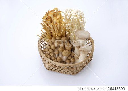 Mushrooms Mushrooms Mushrooms Mushrooms 26852803