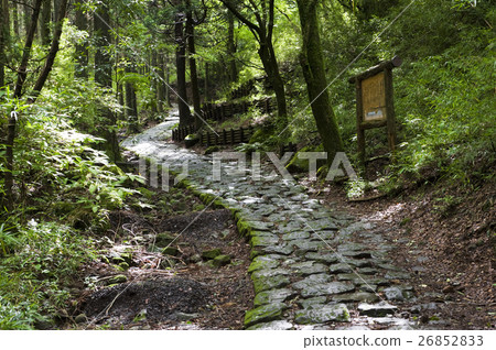 Hakone Old Road 26852833