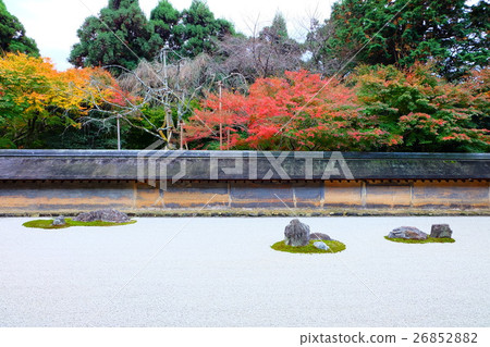 Ryoanji寺廟在秋天 26852882