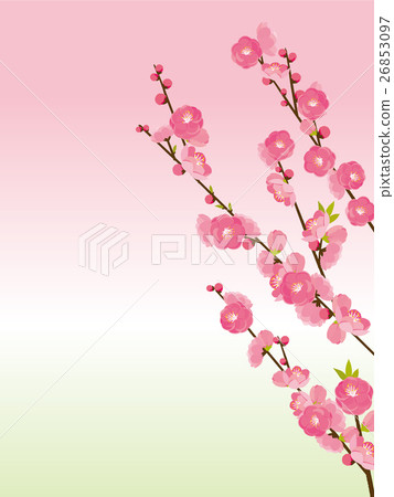 Peach blossoms Peach blossoms 26853097