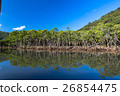 Iriomote Island Narra River Mangrove 26854475