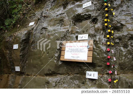 千葉年（千葉縣市原市） 26855510